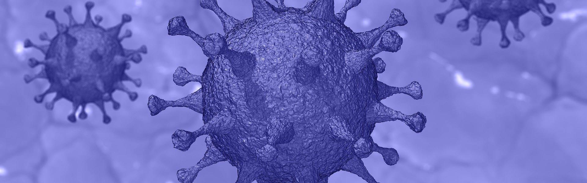 Protective measures against the new Coronavirus